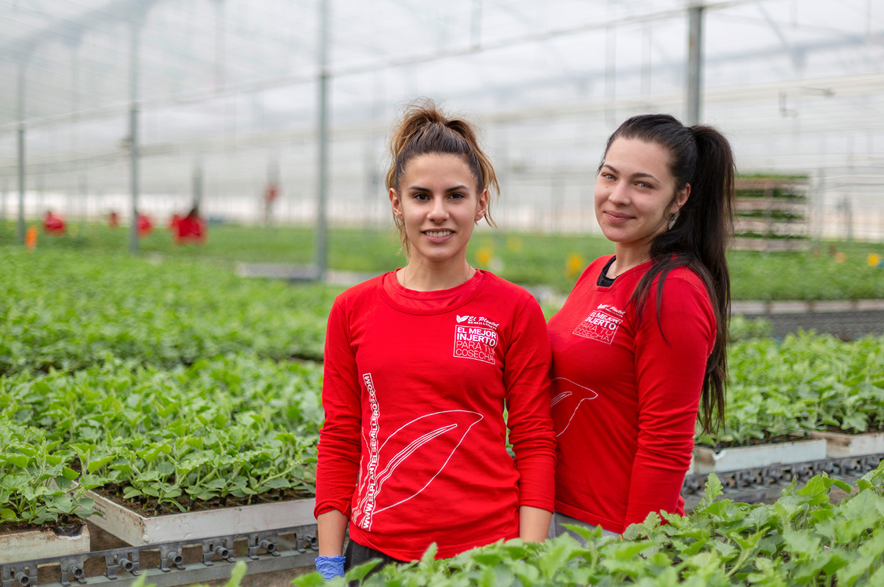 Mujeres trabajadoras en el invernadero de El Plantel Semilleros.