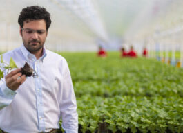 Fotografía de trabajador de El Plantel en el invernadero